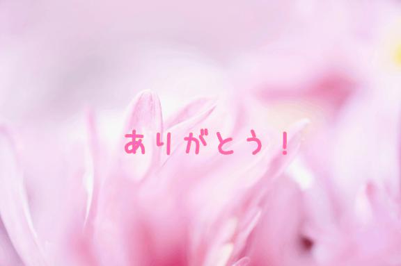 日曜日リズコートの✨