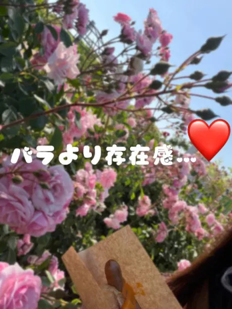 愛乃(あいの)グランドオペラ福岡