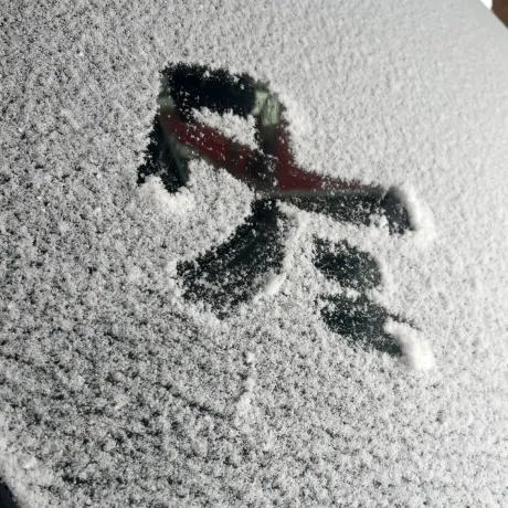 なつ弘前黒石ちゃんこ