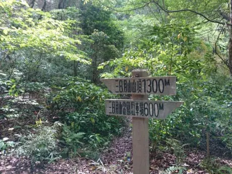 お題:子供の頃、夏休み何やってましたか? に回答いたしました