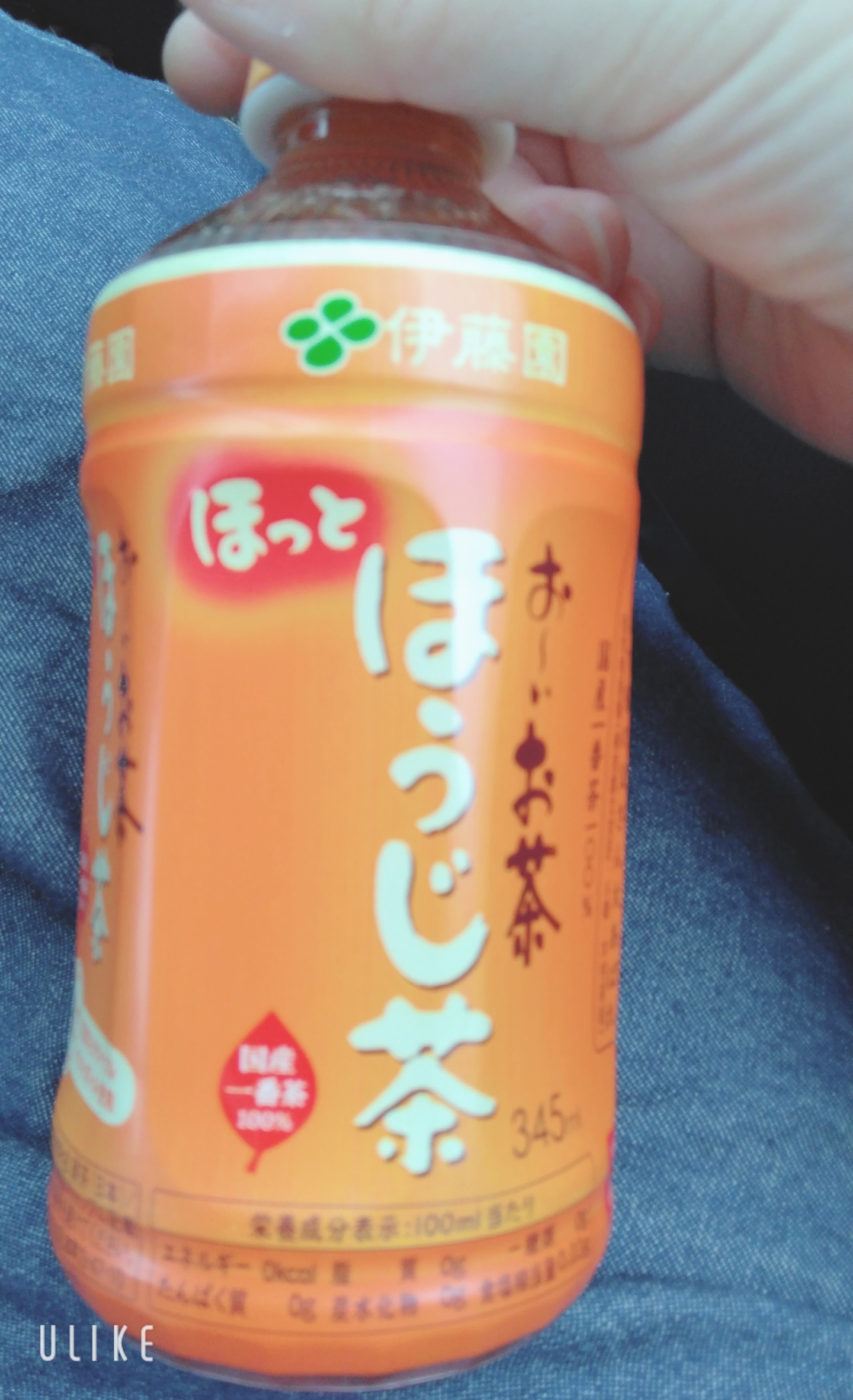 おっはよん