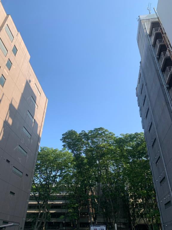 無念🥺