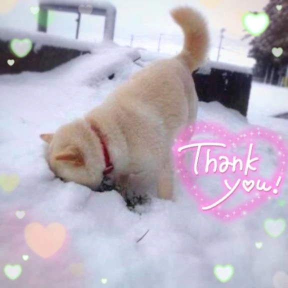 退勤☆。.:＊・゜