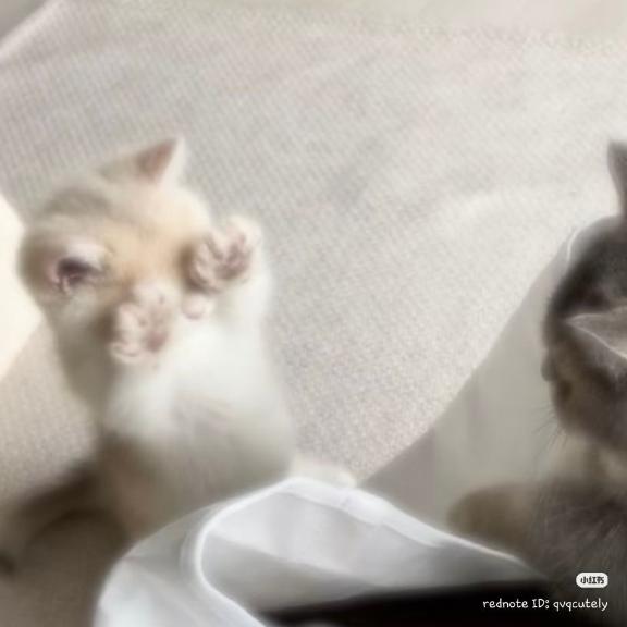 新人　れいDeliysCure仙台