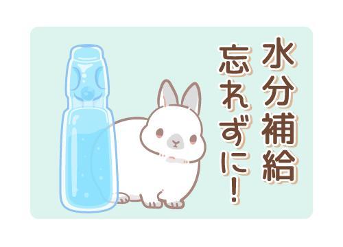 こんにちは！
