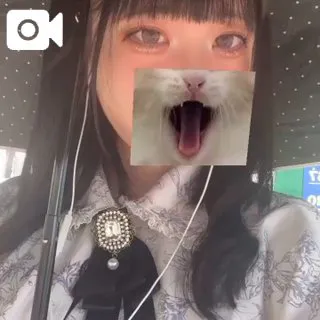 🎀ちょっとだけ特別な気分/みい