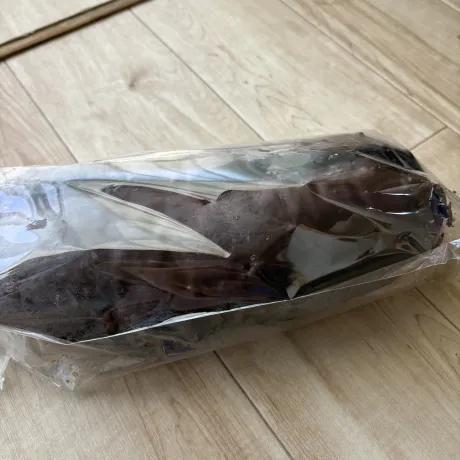 お礼( *´?`* )/【新人】せいか4/12入店