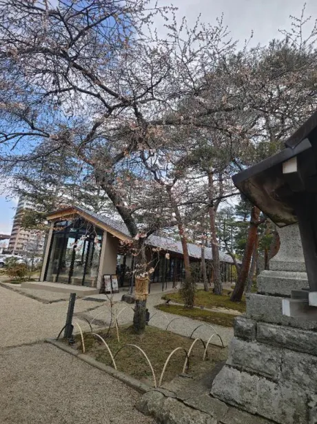 ルイ奥様生レンタル-古川店-