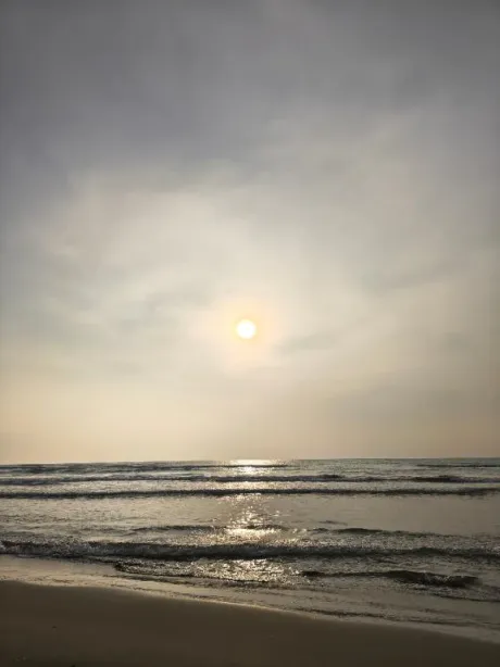 間に合って良かった…/後藤(ごとう)