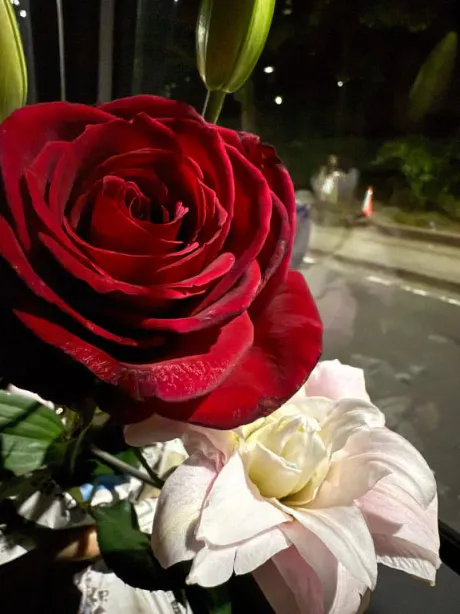 るるDeliysCure仙台