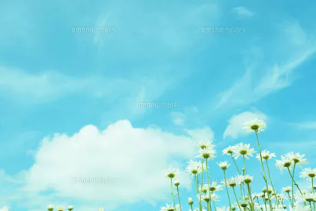 そら仙台人妻花こよみ