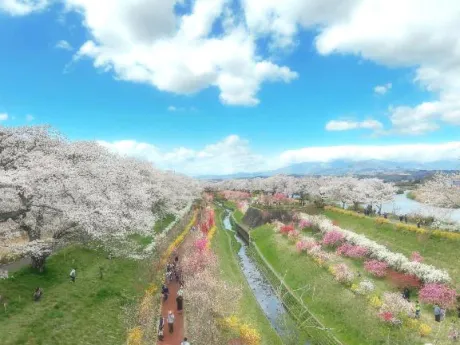かえで愛 LAND-アイランド-