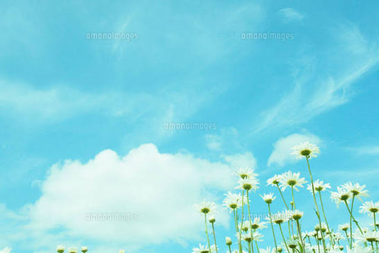 おはようございます