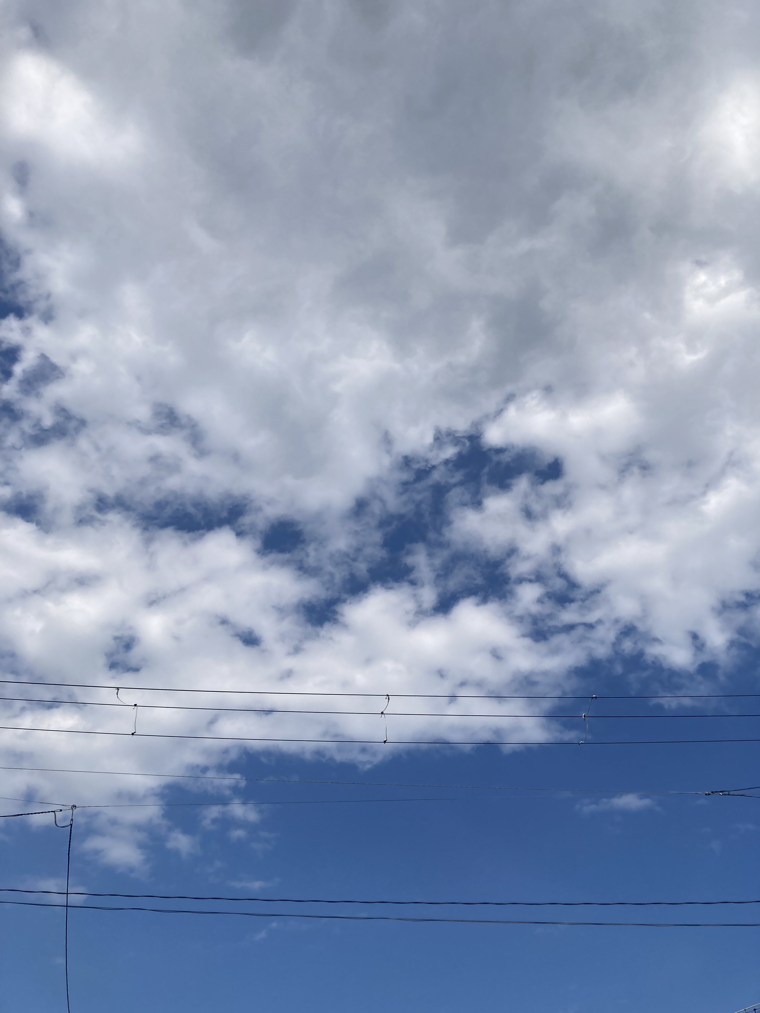 7月7日