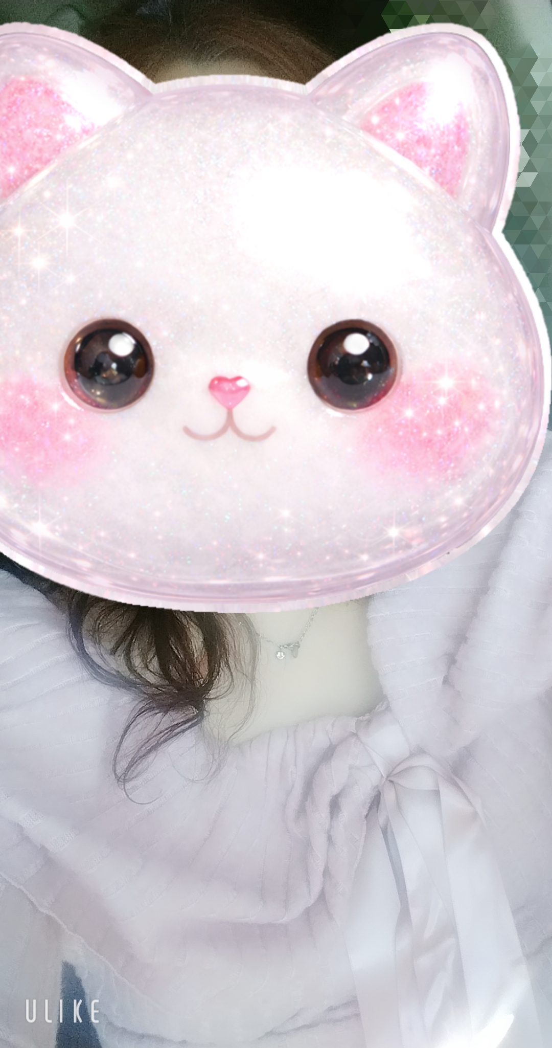 ポカポカ/緊急入店マオリ(弘前)