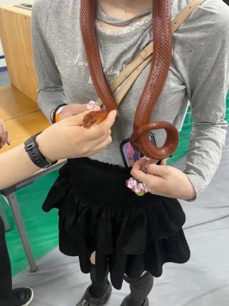 つむぎロイヤルクラブ
