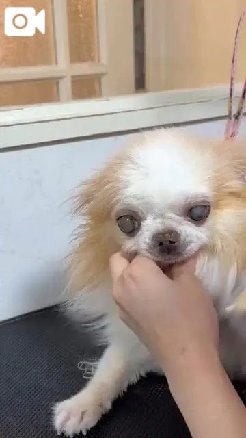 シャンプー終了 🐾⋆⭒