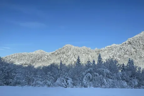 かなえM-1 福島壱萬店