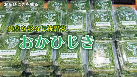 おかひじき！！(皆しってる？)/ネネ
