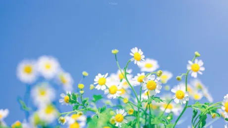 おはようございます/ゆりか