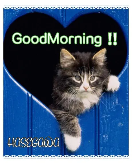 長谷川即プレイ専門店　変態人妻サークル　古川店