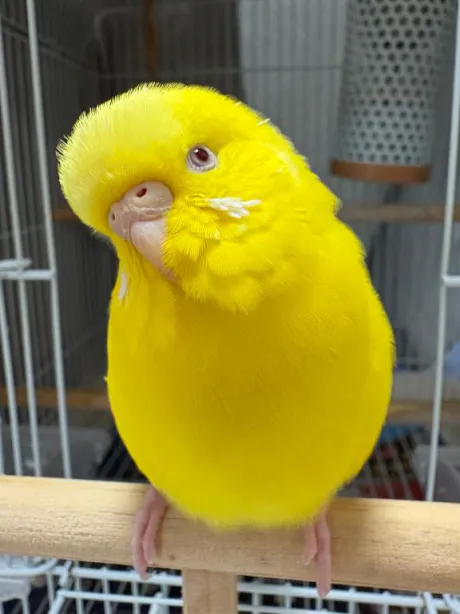今日は一緒に💕/しおり