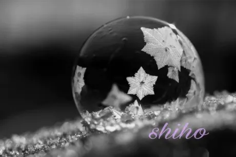 しほ愛 LAND-アイランド-