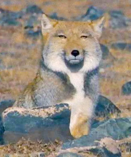 本日はお休みします 😅/サキ【EDENコース】青森・弘前出勤