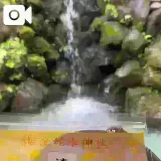 12時間デートコース💕