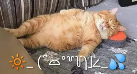 つばき【青森】嗚呼45歳以上 青森店