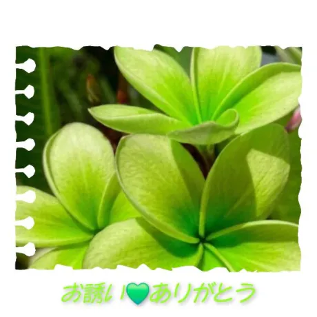 お誘い❤️ありがとう