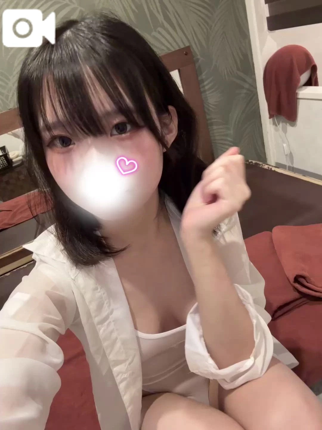 🍒猫ちゃんいた🩶