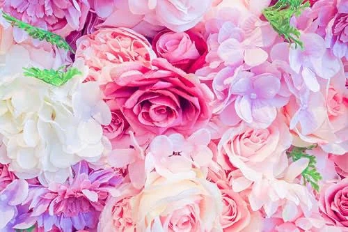 新人・叶羽(とわ)グランドオペラ福岡