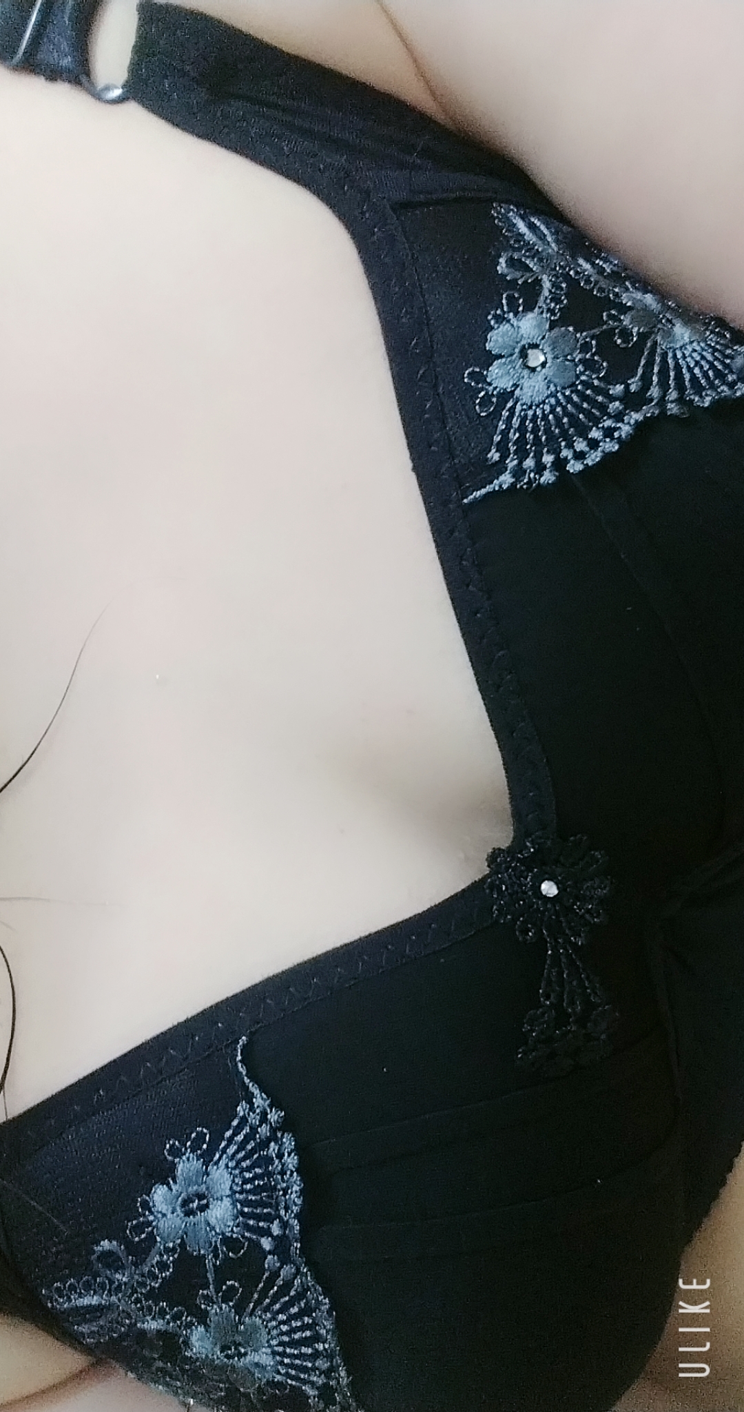 もうないよ、きっと/緊急入店マオリ(弘前)