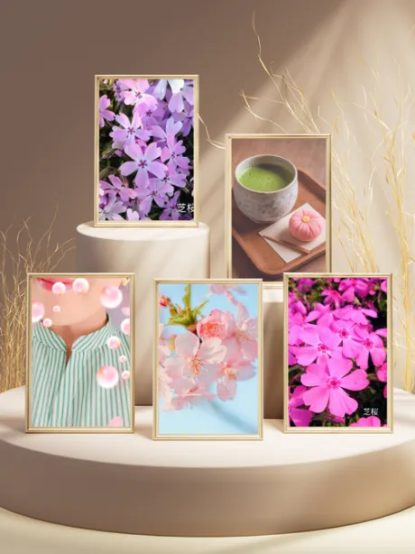 春を集めました/美しいみなこ【青森】