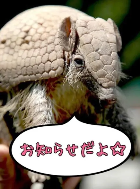 ⚠️お知らせ⚠️