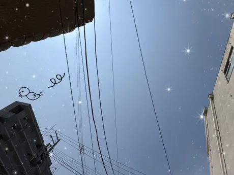 ももこです(^з^)出勤中/ももこ