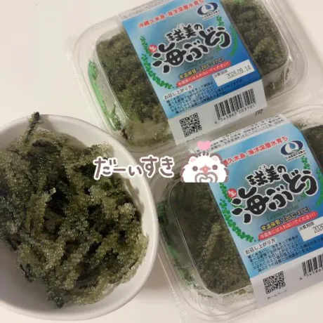 業界未経験　ぽめロイヤルクラブ