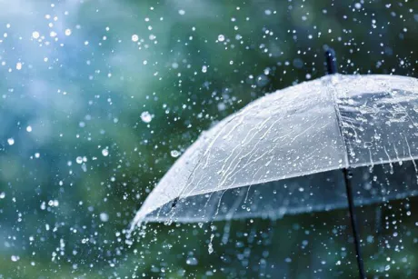 おはようございます☂