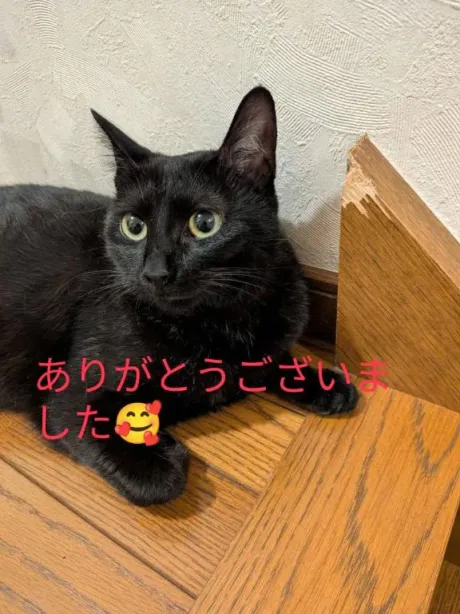 ありがとうございました😊