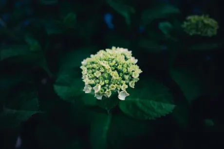 最近見た映画🎪/新人　さよ