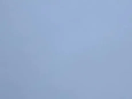 出勤しました