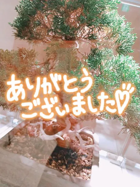 フューチャー♨️オノさん