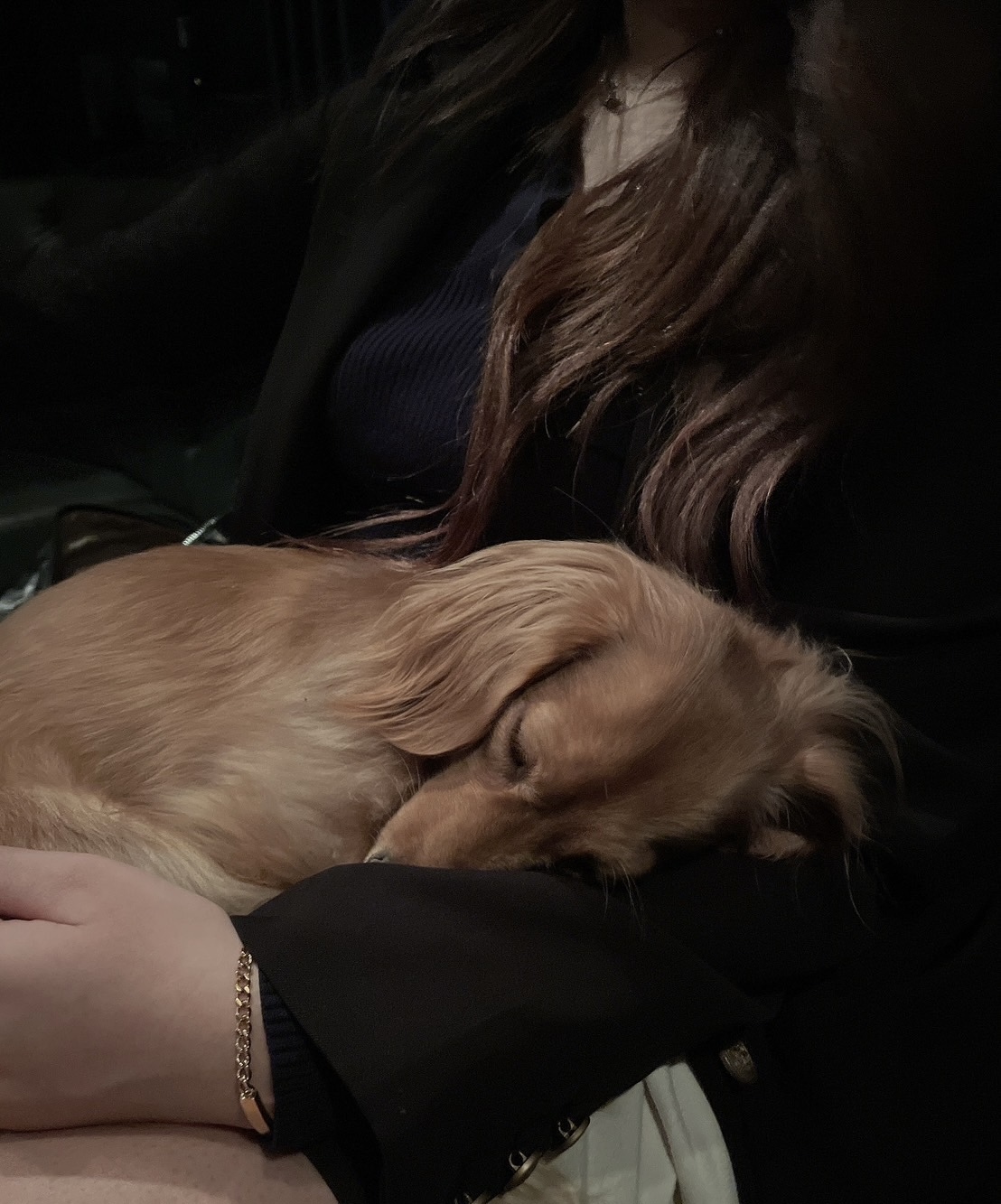 シンドバット🤝🏻