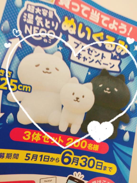 応募✨
