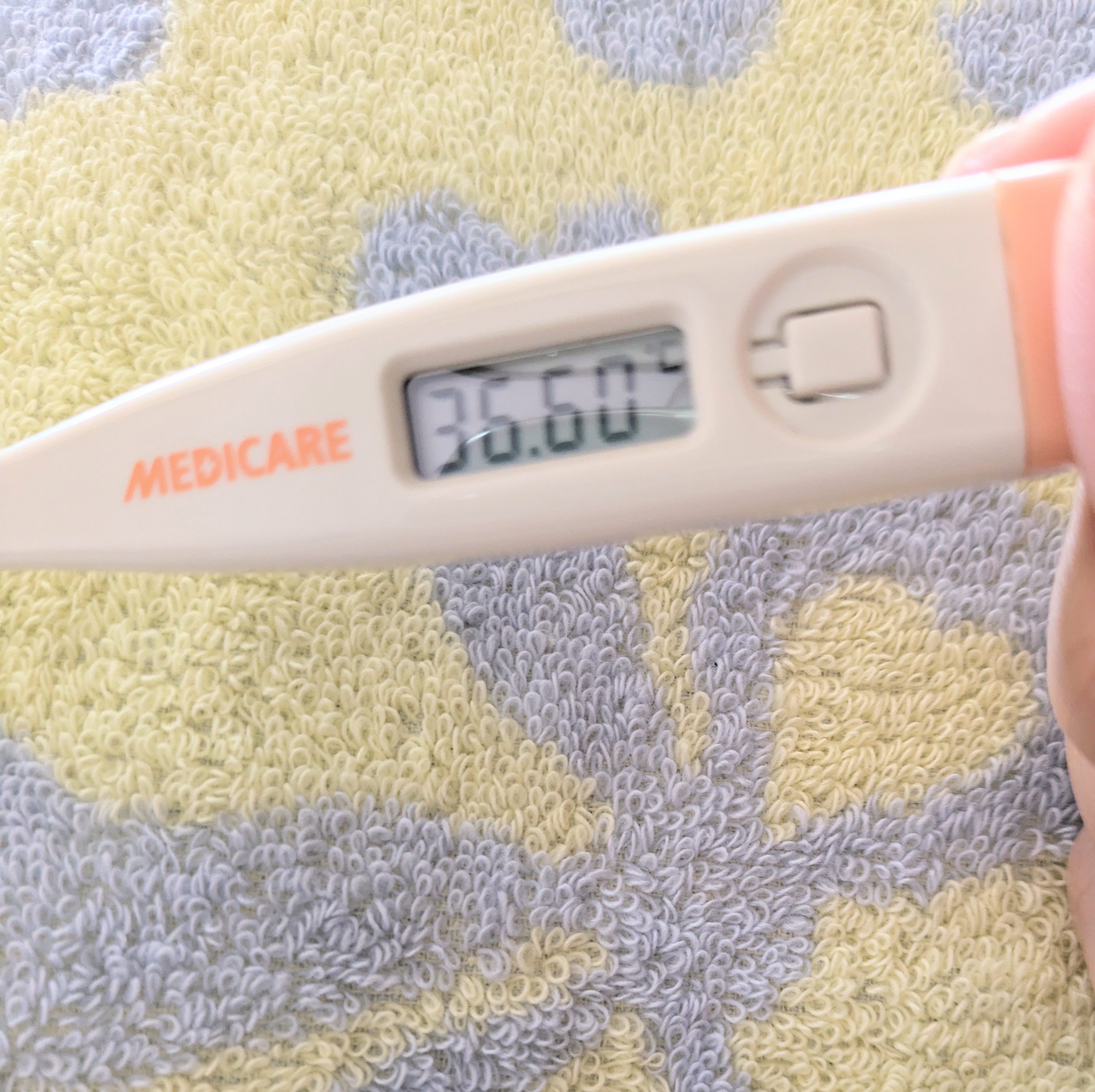 本日、出勤💋