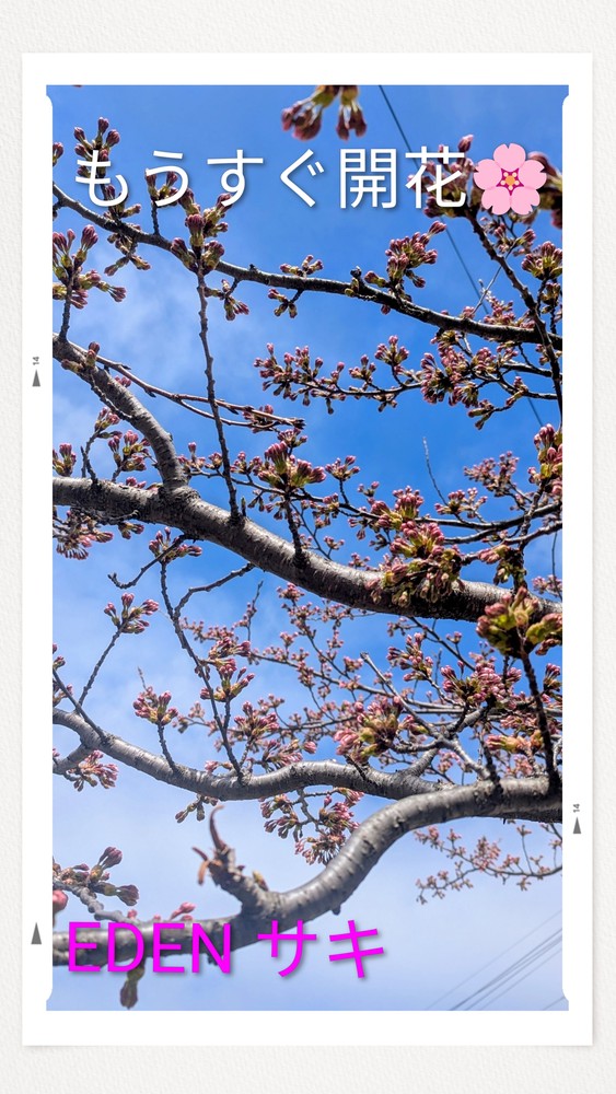 サキ（青森出勤）EDEN