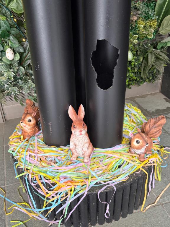 新人あず奥様メモリアル