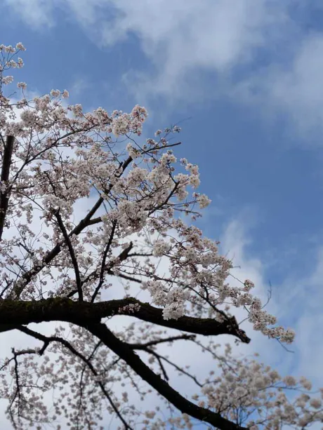 今日は 18 時までお待ちしてます 🩷/しょうこ