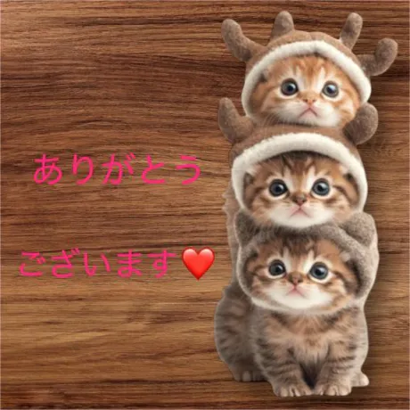 カノンセレブガーデン